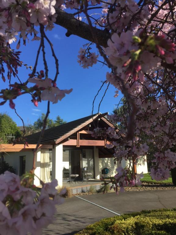 Olive Hill Guest Lodge room 1